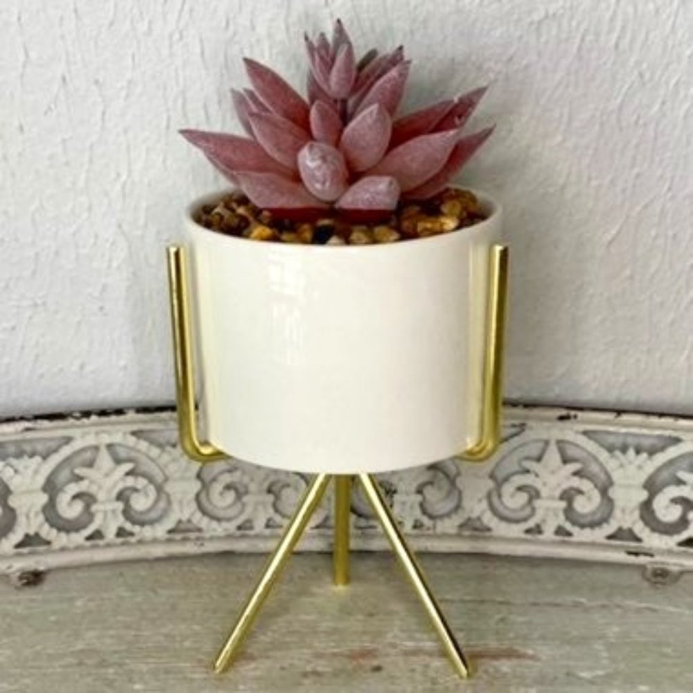 New Faux Succluent